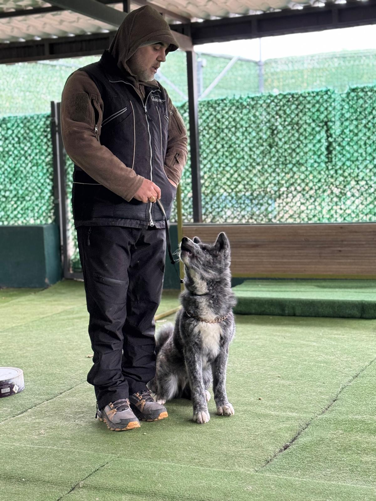 Dog training session