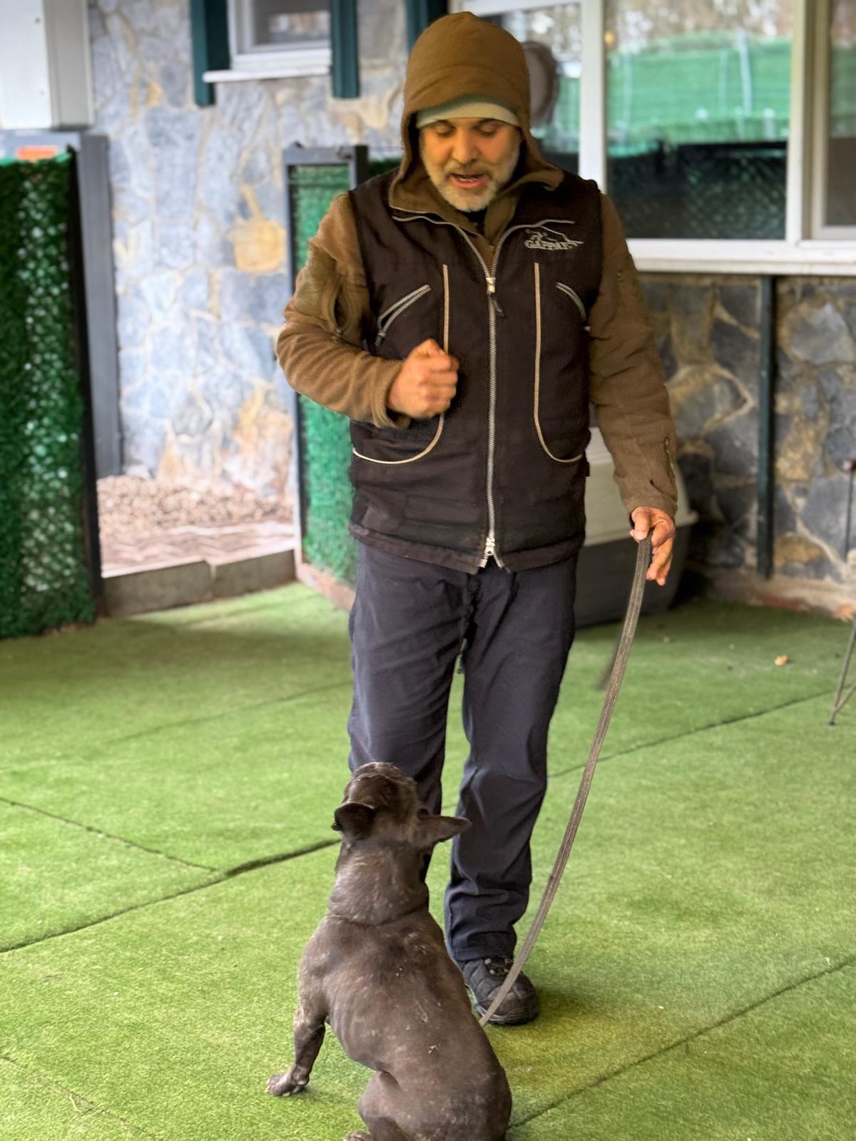 Köpek eğitimi nedir