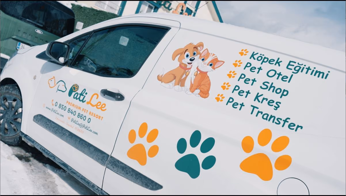 Transfer edilen köpek