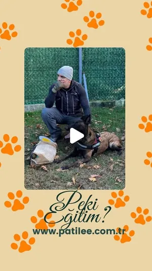 Peki eğitim? — PatiLee Instagram