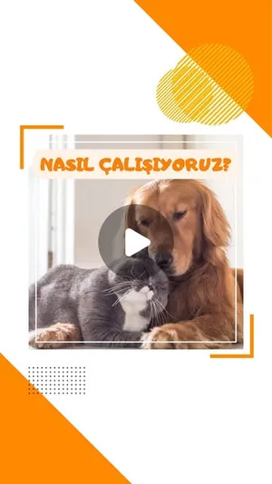 Nasıl çalışıyoruz? — PatiLee Instagram