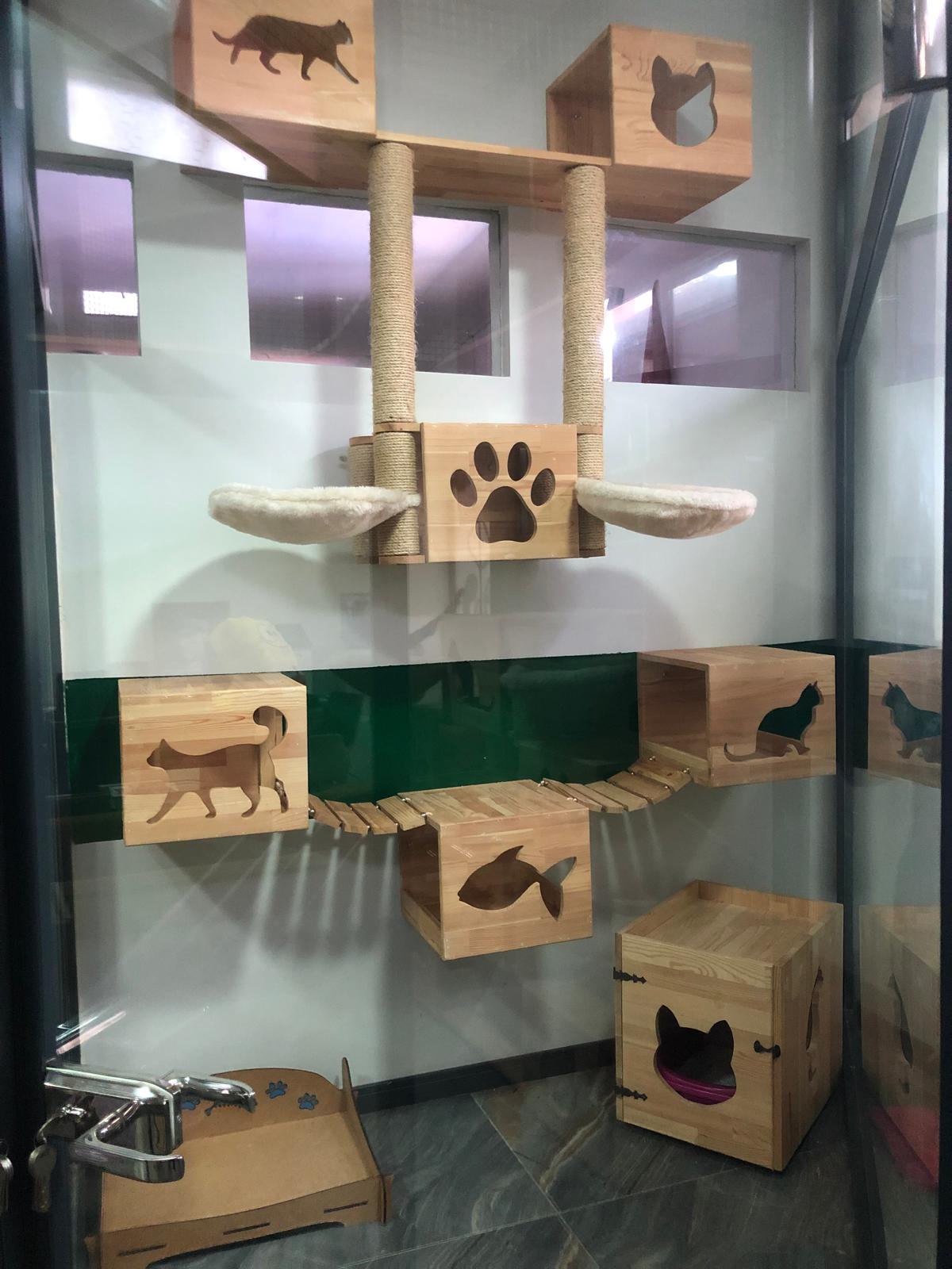 Kedi konaklama salonu