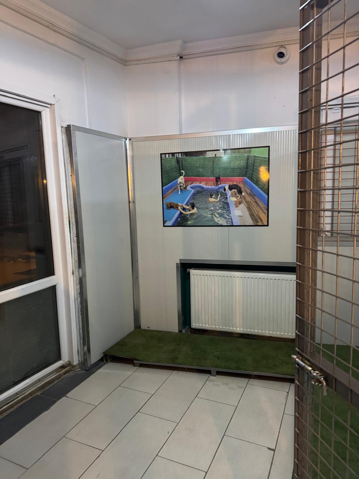 Dog boarding area