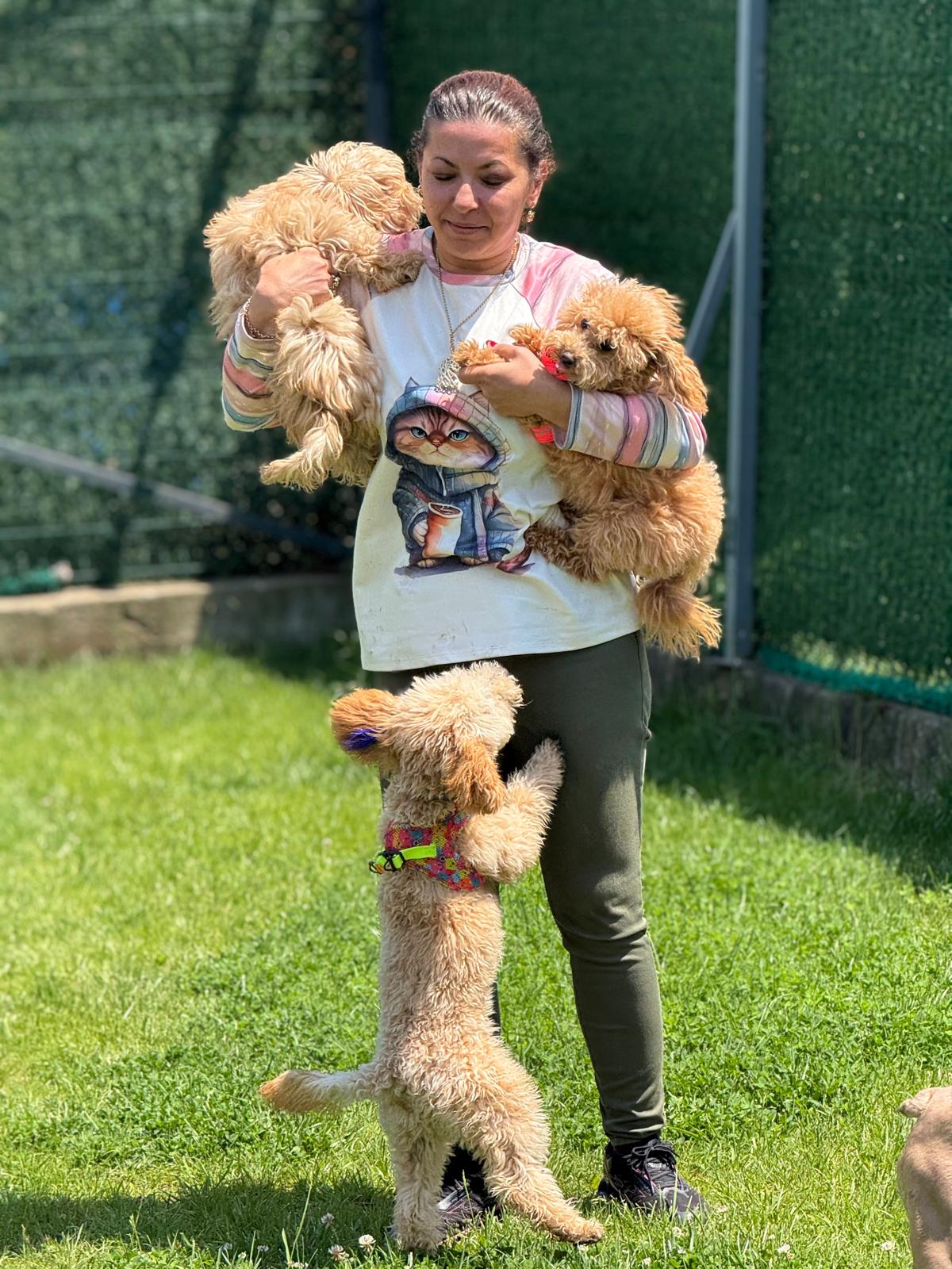 Daycare play session at PatiLee