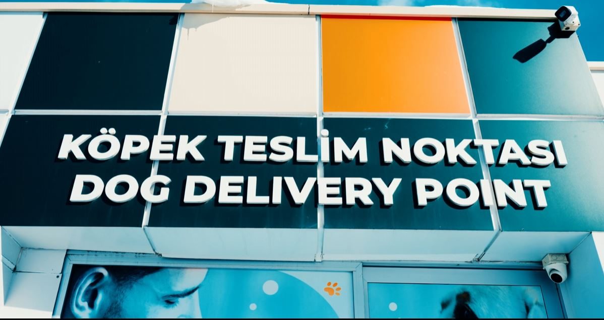 Köpek teslim ve karşılama noktası