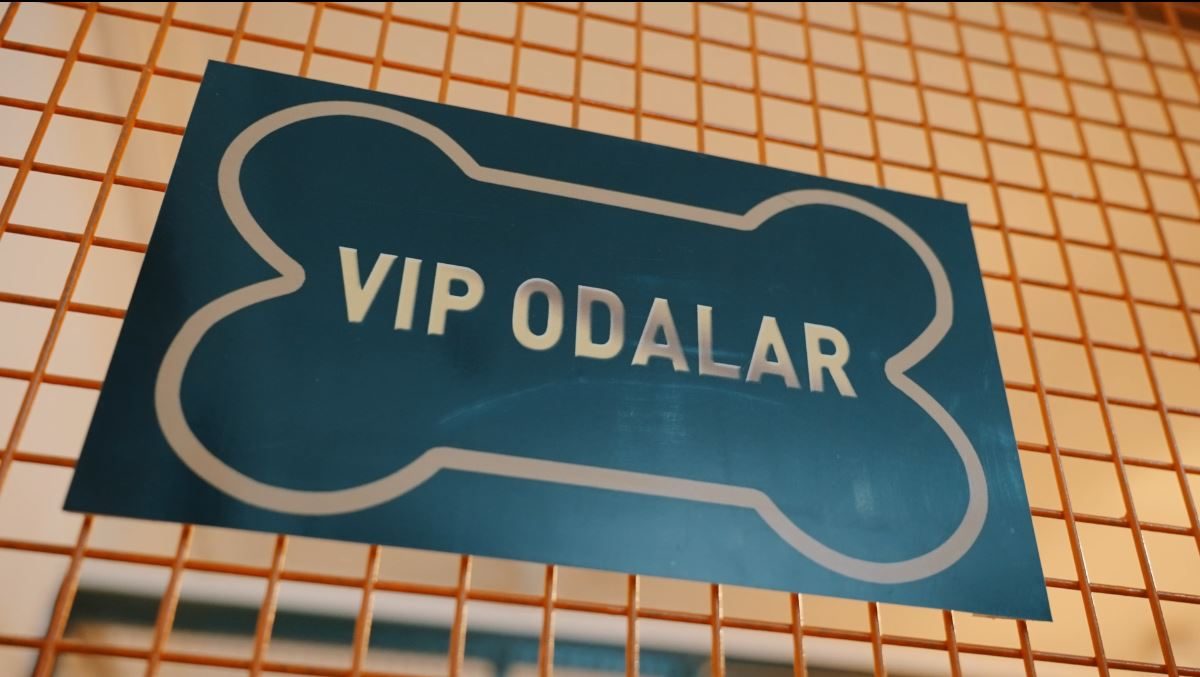 Özel (VIP) konaklama süiti detayı