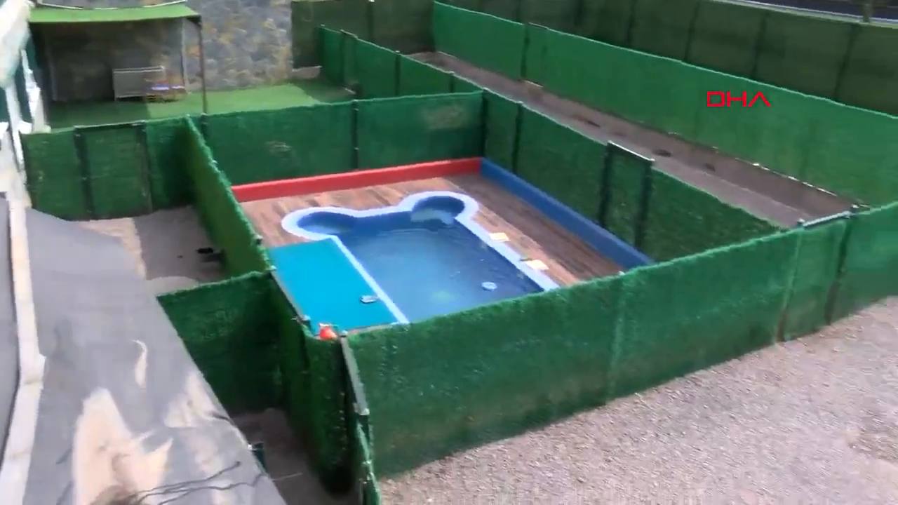 PatiLee Premium Pet Resort — tesis, köpek havuzu ve otel binası
